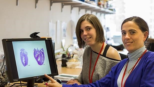 Las autoras de la investigación, Bárbara Gonzalez-Terán y la Dra. Guadalupe Sabio.